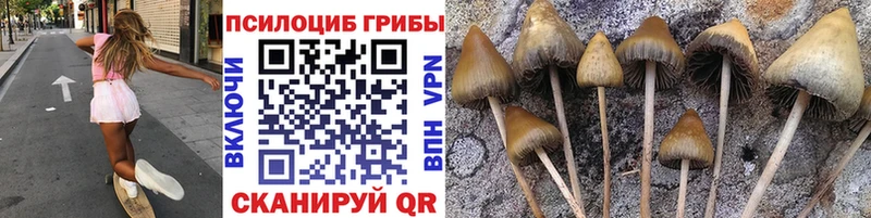 Галлюциногенные грибы ЛСД  Звенигород 