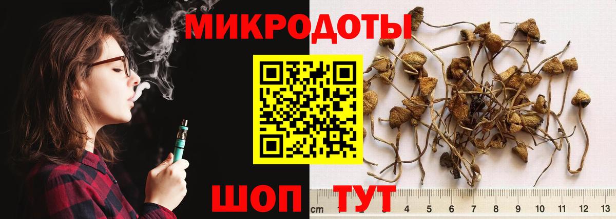 Звенигород  Псилоцибиновые грибы Magic Shrooms  Вход с VPN 